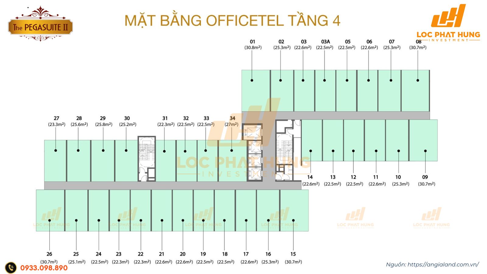 Mặt bằng căn hộ Pegasuite II Quận 8