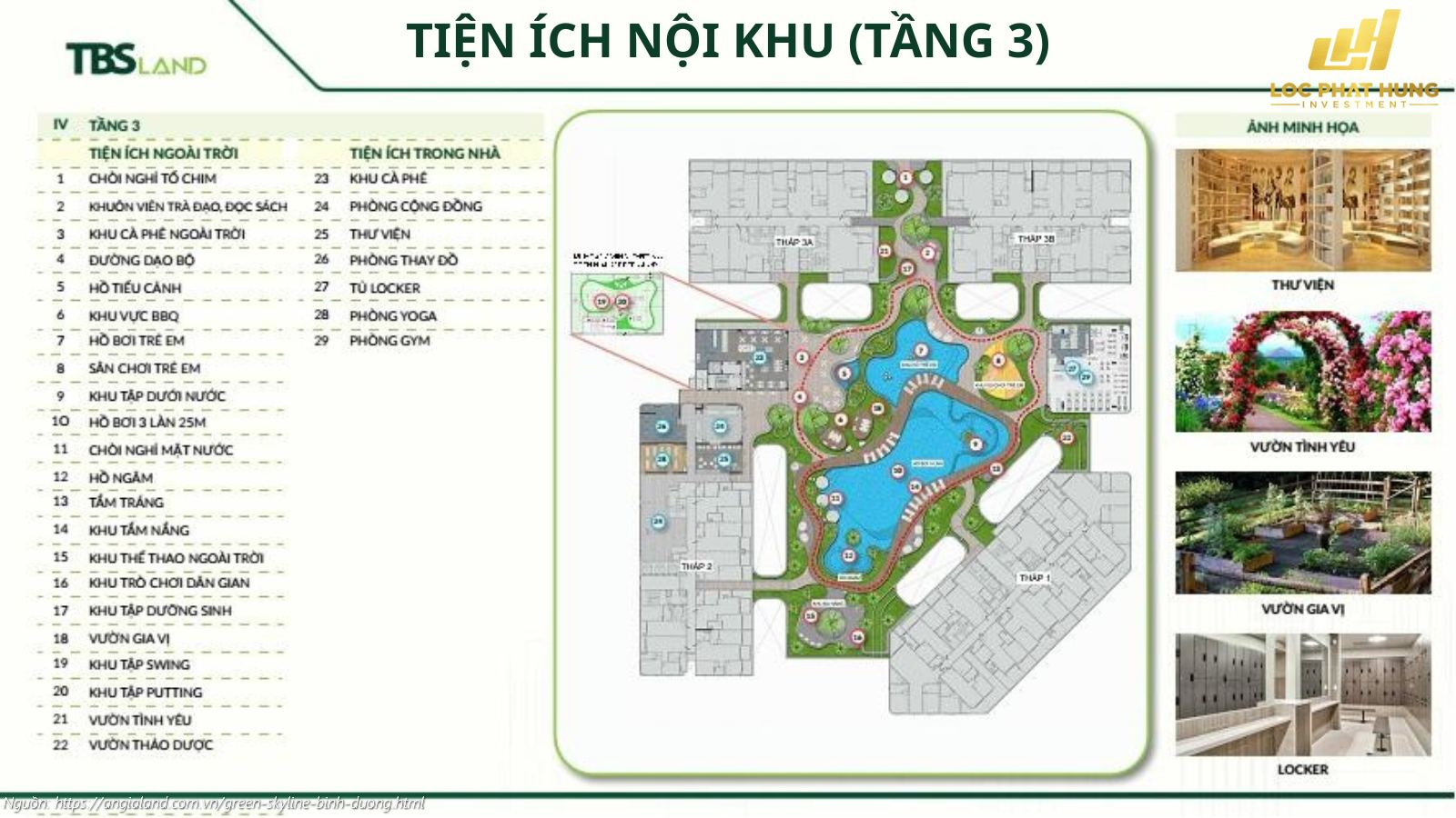 Hệ thống tiện ích tầng 3 đẳng cấp: Hồ bơi tràn bờ, Phòng Gym & Yoga chuẩn Resort tại Green Skyline