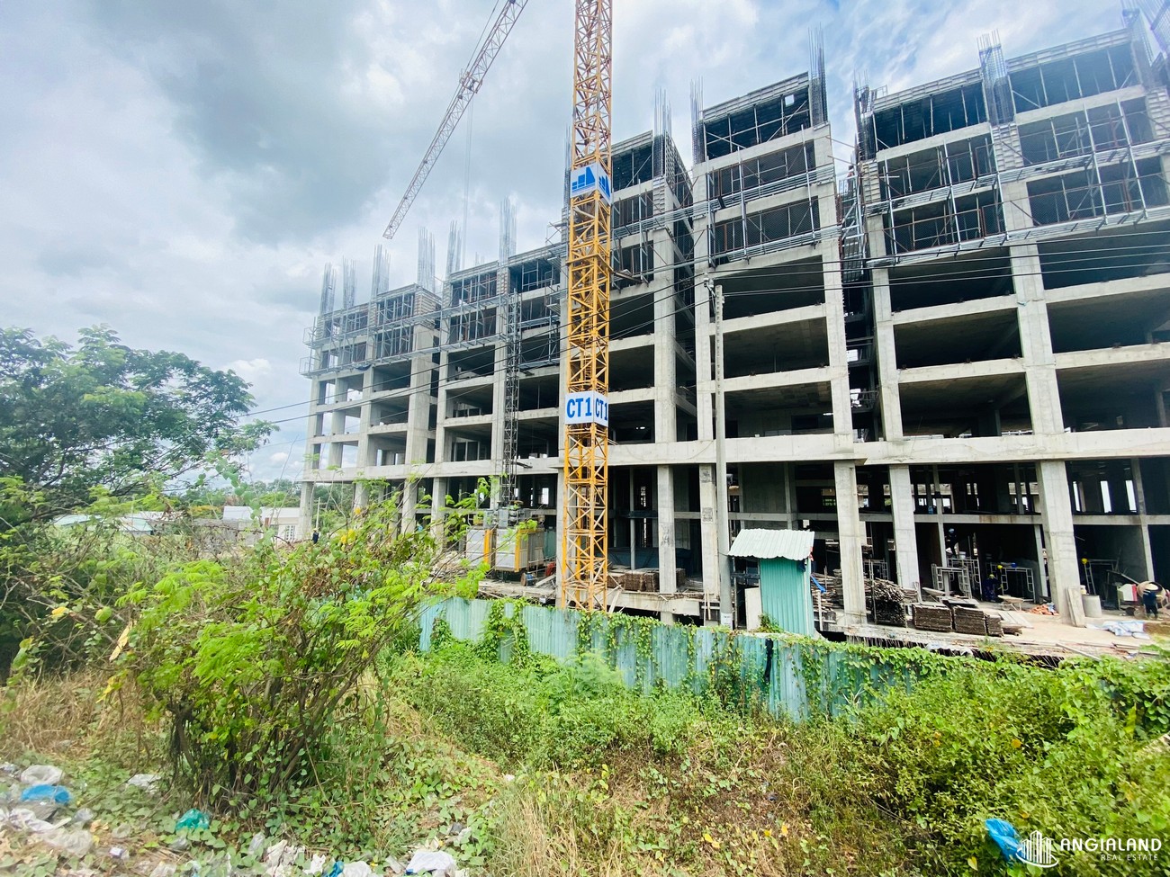 Tiến độ dự án căn hộ chung cư Dream Home Riverside Quận 8 Đường Nguyễn Văn Linh chủ đầu tư Công ty cổ phần Nhà Mơ