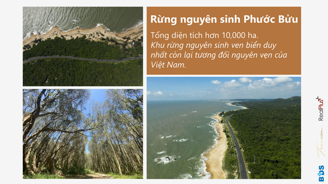 Phối cảnh tổng thể dự án vila chung cư Ixora Hồ Tràm By Fusion Xuyên Mộc Đường Phước Thuận & Bông chủ đầu tư ACDL