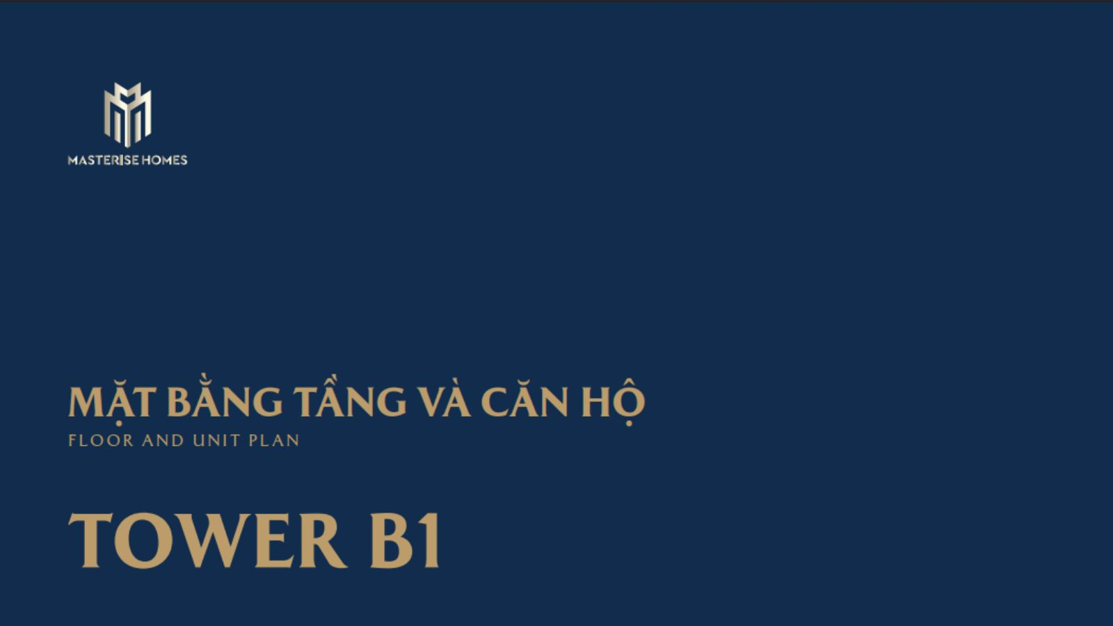 Mặt bằng tầng và căn hộ Tháp B1 Masteri Cosmo Central The Global City