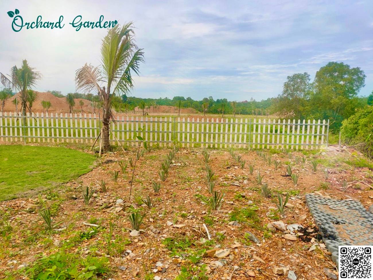Hình ảnh thực tế đất vườn Orchard Garden Đồng Nai