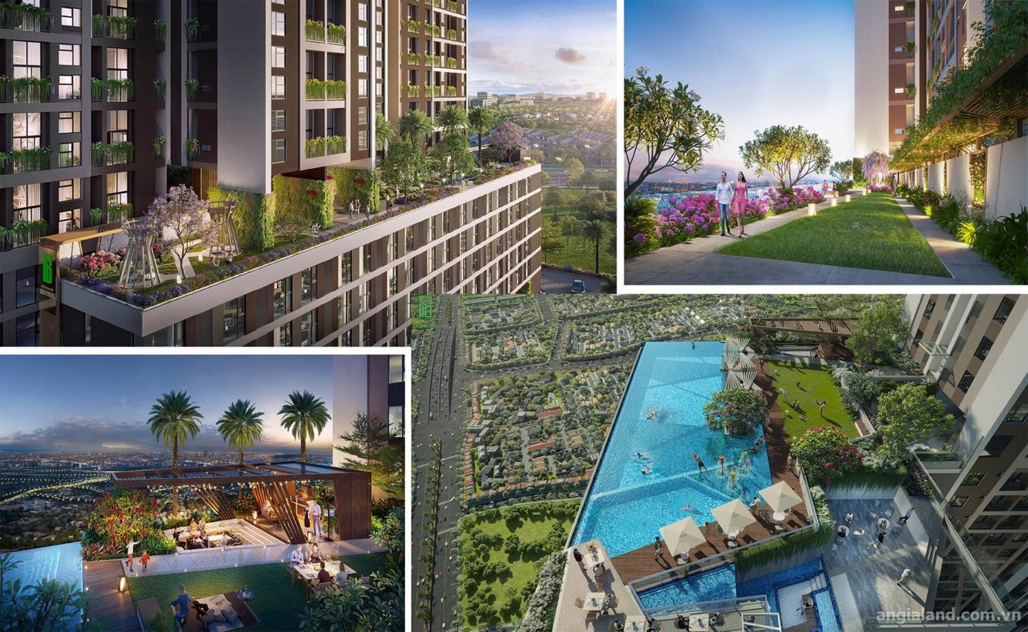 Top 6 Lý Do Nên Mua TT Avio Dĩ An