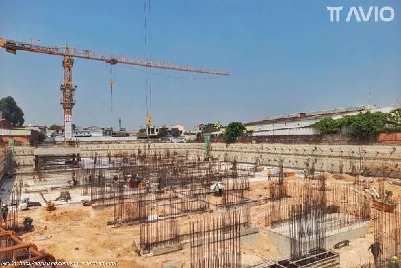 Tiến độ xây dựng TT Avio 03/2025