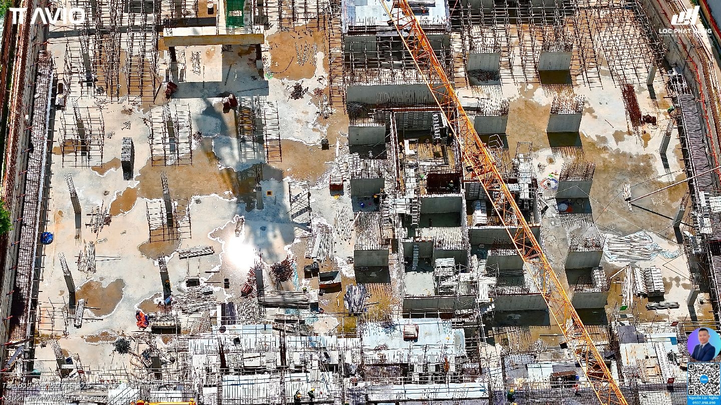 Tiến độ Tt Avio Ngày 01/06/2025