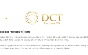 Công Ty Tnhh Dct Partners Việt Nam