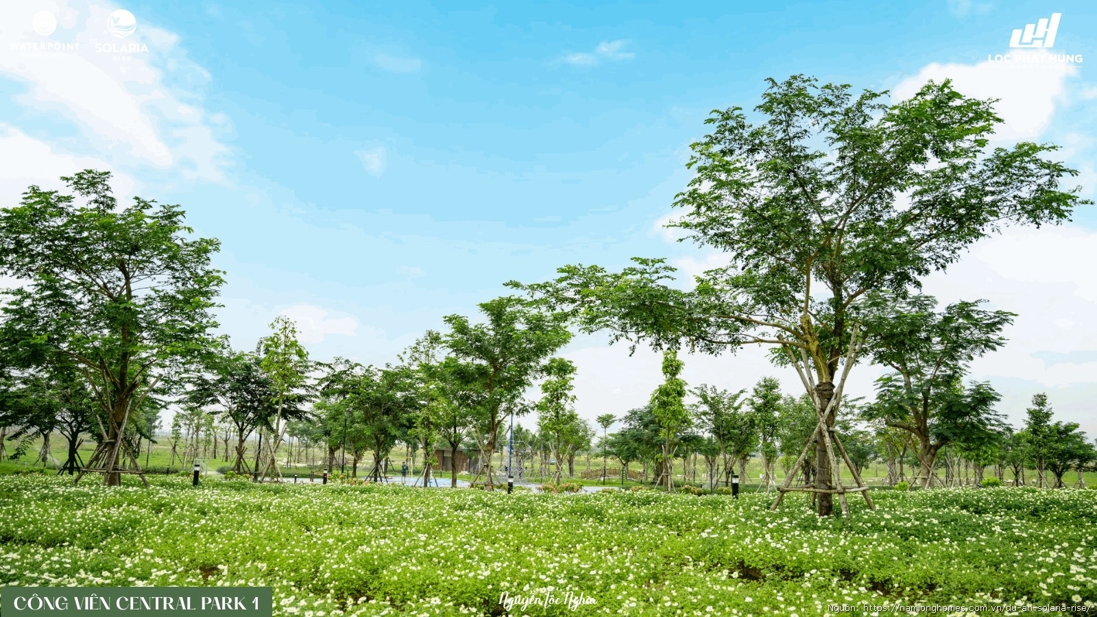 Duong Dao Bo Ven Song Voi Hoa Trang Tai Central Park 1