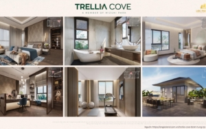Nha Mau Can Ho Trellia Cove Thiet Ke Noi That Cao Cap