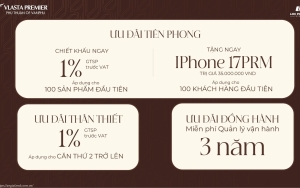 Chi tiết chính sách bán hàng và ưu đãi chiết khấu dự án Vlasta Premier - Mr. Nghĩa hỗ trợ tư vấn dòng tiền.