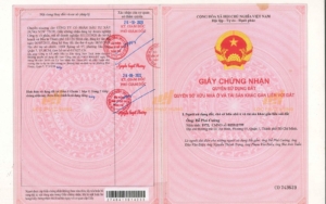 Giấy chứng nhận quyền sử dụng đất (sổ đỏ) của dự án The New Marina Residences Quận 7