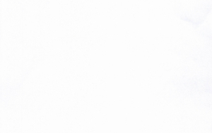 Chi tiết văn bản chấp thuận chủ trương đầu tư