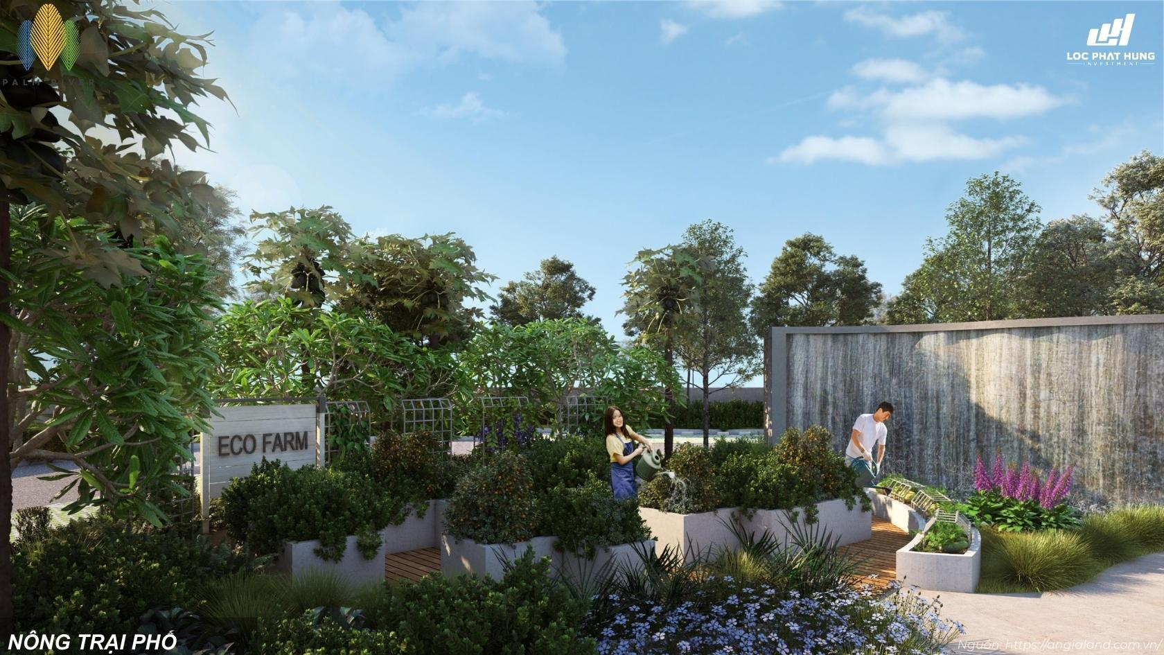 Mô hình nông trại phố Eco Farm độc đáo tại dự án Palm River Quận 2