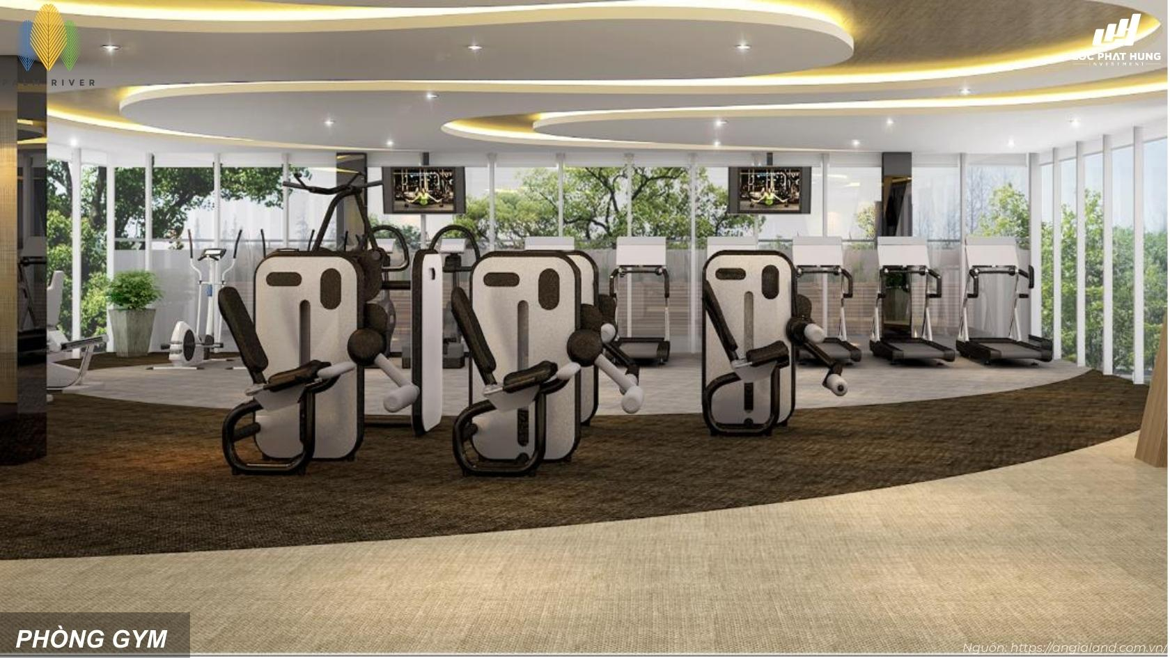 Phòng tập Gym với thiết bị hiện đại tại Palm River